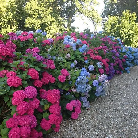 別荘 Domaine Du Chateau De Bourville Bermonville