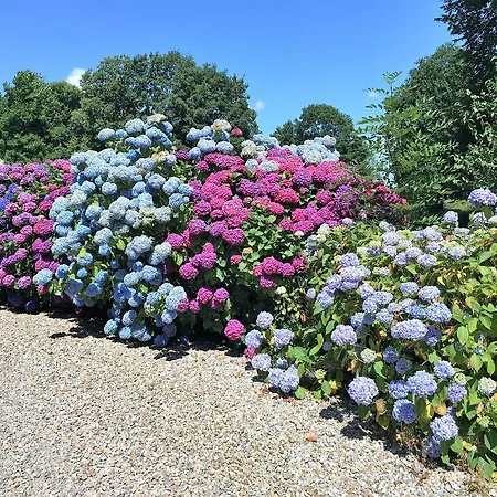 Domaine Du Chateau De Bourville Bermonville