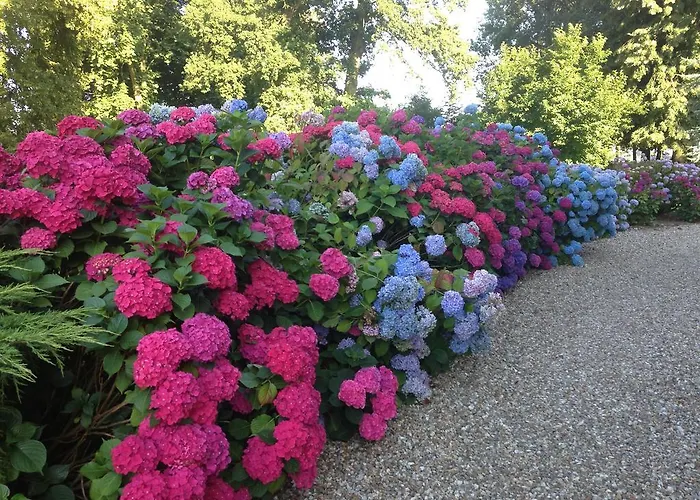 Holiday home Domaine Du Chateau De Bourville Bermonville