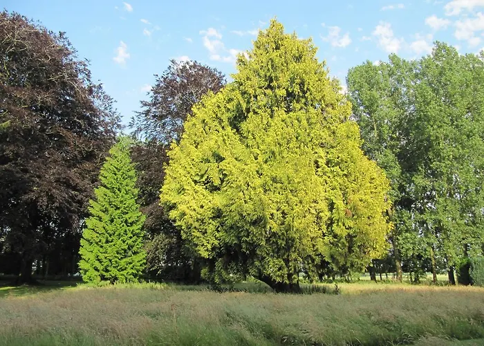 Domaine Du Chateau De Bourville