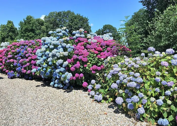 Domaine Du Chateau De Bourville Bermonville